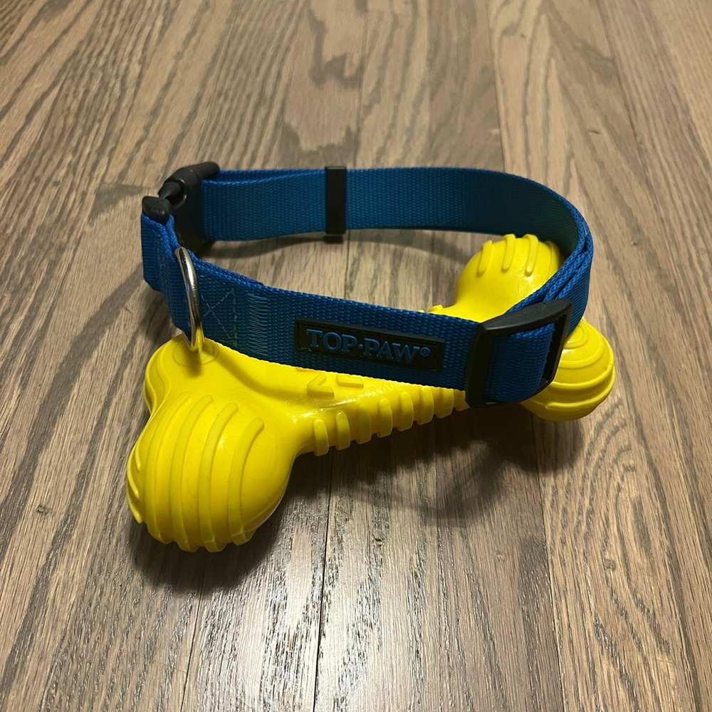 Top Paw Signature Dog Collar